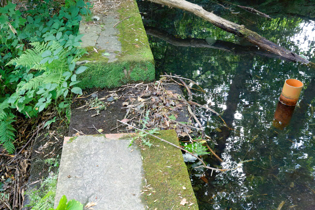 Gut Colynshof / Pau / Wehr / Detail